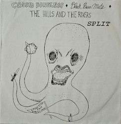 PGH Street Folk Split