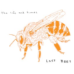 Lost Bees