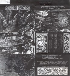 Under the Dark Mystic Sky