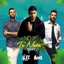 No se te nota (remix)