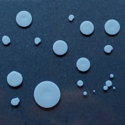 SPORES (For Blake Edwards)