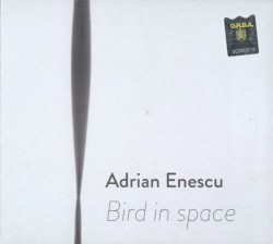 Bird In Space