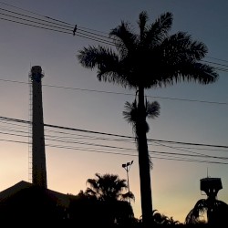 Daily Night Euphoria (deluxe edition)