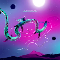 Romantic Warrior Strikes Again