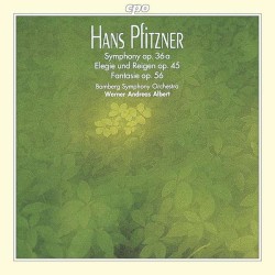 Symphonie op. 36a / Elegie und Reigen op. 45 / Fantasie op. 56