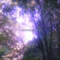 。*+. fortune teller .+*。