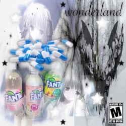 Wonderland