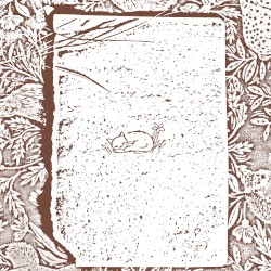 ELEKTR0BATH / Silver Dove