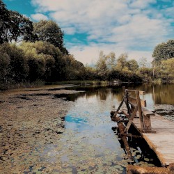 Flowers of the Heart