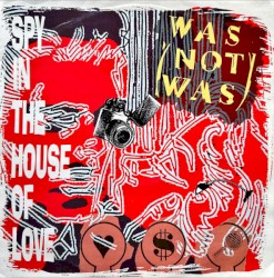 Spy in the House of Love