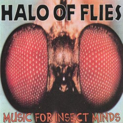 Music for Insect Minds