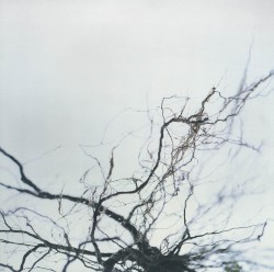 Soundscape 2: Nova