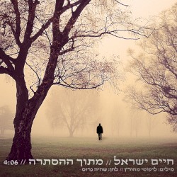 מתוך ההסתרה