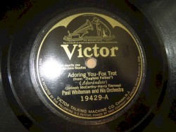 Adoring You / Biminy