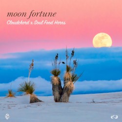Moon Fortune