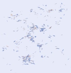 Tumbling Towards a Wall