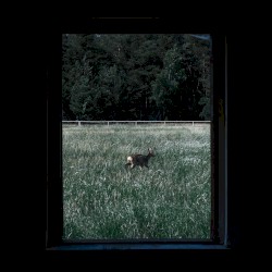 Our Fears Won’t Save Us