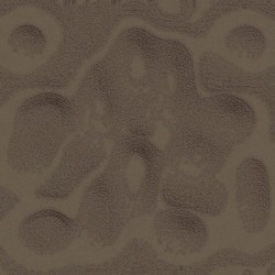 Soisong Broadcast #7