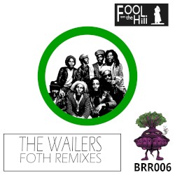 The Wailers - FOTH Remixes
