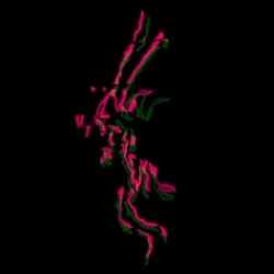 【 •㆚ ҽ ɾ ⫷（🔾）⫸ 𝘪 𝓷 Ꮆ•】