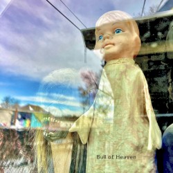 Turn Pretty Flower Towards the Sun