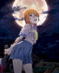 ひぐらしのなく頃に卒 Original Soundtrack CD