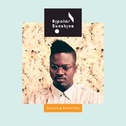 Drowning Butterflies