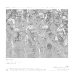 Perpetual Contraction of the Infinite Void Separating Microscopic Bursts of Volatile Sound (I)