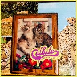 Live From an Empty War3house