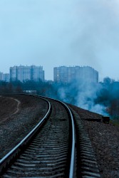 Railroader Blooms With Steatopygia