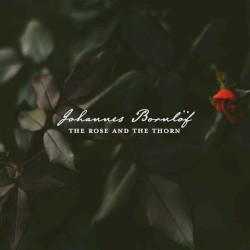 The Rose and the Thorn