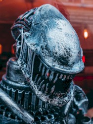 A Feeling Is a Pain Killer in Its Own Way