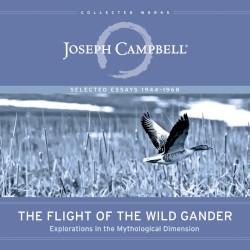 The Flight of the Wild Gander: Explorations in the Mythological Dimension