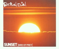 Sunset (Bird of Prey)