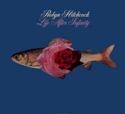 Life After Infinity