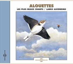 Alouettes : Les Plus Beaux Chants / Larks Ascending