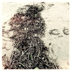 Awaken in Floating Colours