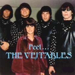 Feel... The Vejtables