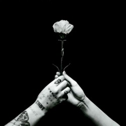 A madrugada que eu esperava