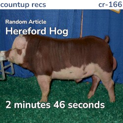 Hereford Hog