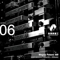 Magna Palace 309