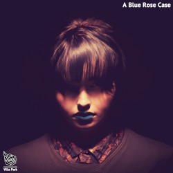 Looking into the Void