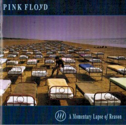A Momentary Lapse of Reason