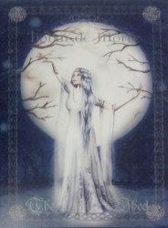 The Silver Wheel