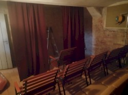 Stares In Disbelief In The Sunflower Field