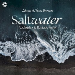 Saltwater (Audiotricz & Ecstatic Remix)