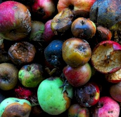 From the Archives: Offcuts and Mouldy tracks