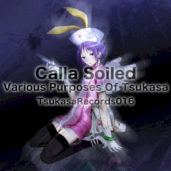 Various Purposes Of Tsukasa