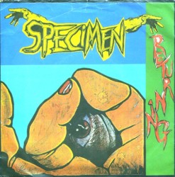 Returning (From a Journey)