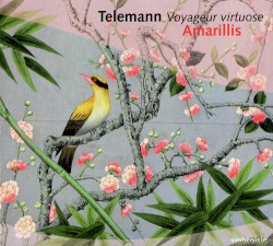 Virtuoso Traveller: Duet and Trio Sonatas